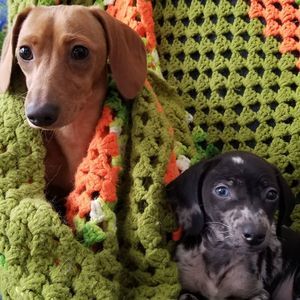 Meet your Posher, Tracy